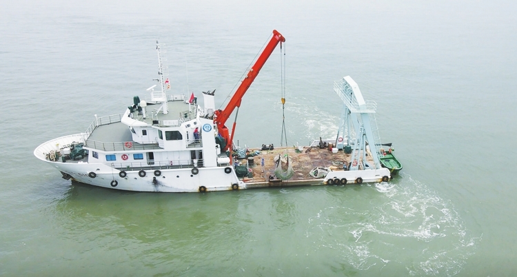 W020220920378616097322.jpg W020220920378616097322.jpg