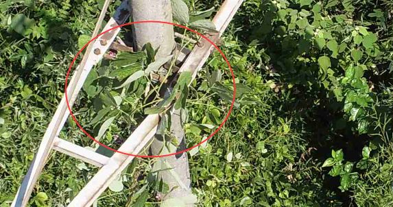 微信图片_20231020113304.png 微信图片_20231020113304.png